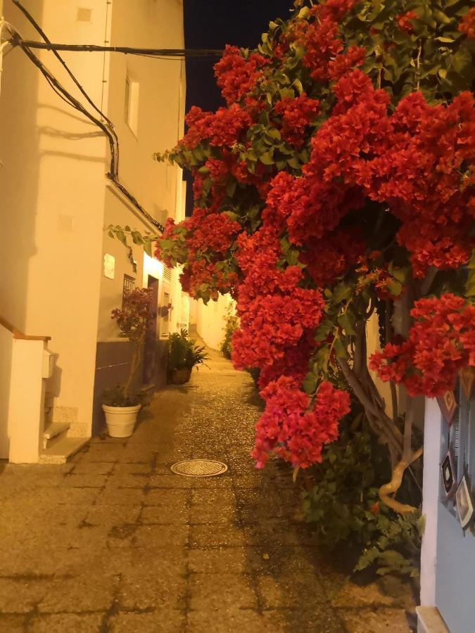 شقة Corazon De Conil كونيل ذي لا فرونتيرا المظهر الخارجي الصورة
