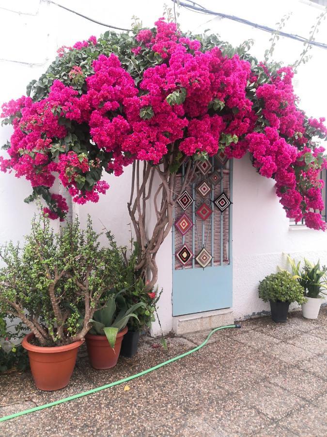 شقة Corazon De Conil كونيل ذي لا فرونتيرا المظهر الخارجي الصورة
